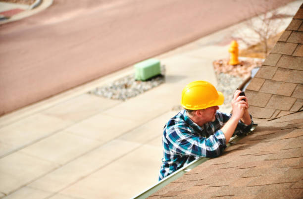 Best Roof Gutter Cleaning  in Roosevelt, NY